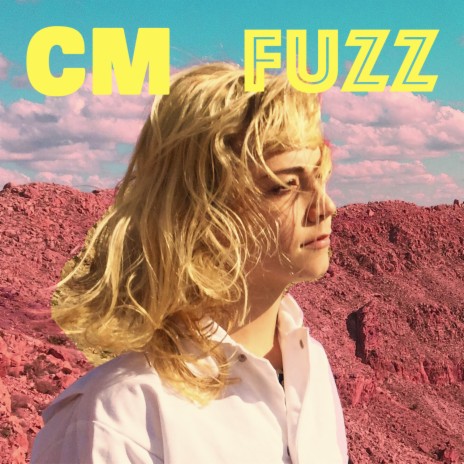 Fuzz cover art