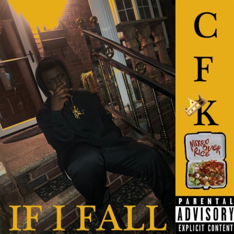 If I Fall cover art