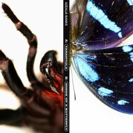 Wings of a Butterfly cover art