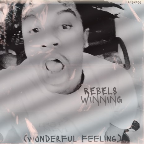 Rebels Winning (wonderful Feeling) cover art