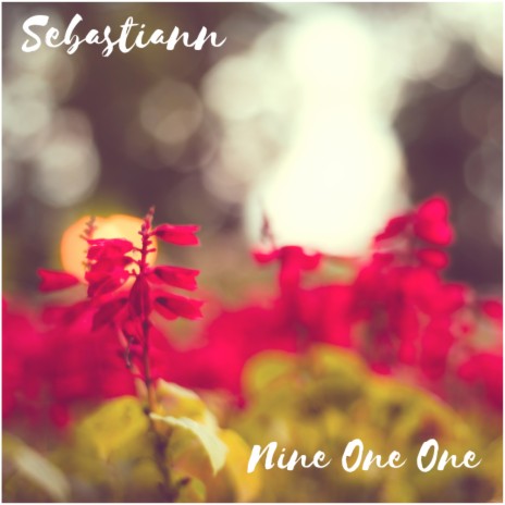 Nine One One (Extended Mix) cover art