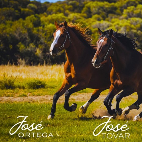 Consejos para un Amigo ft. Jose Tovar