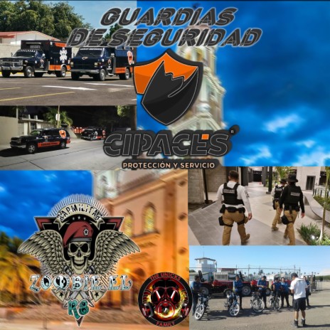 GUARDIAS DE SEGURIDAD (Cipases Protección Y Servicio) cover art