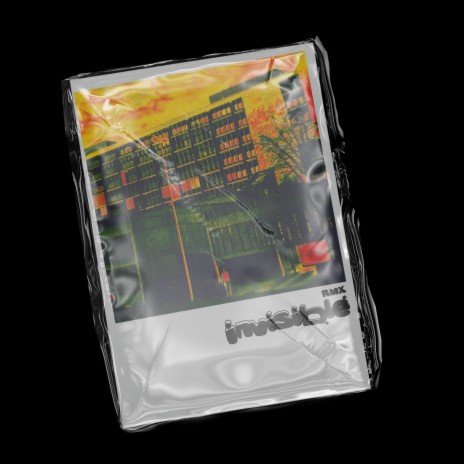 invisible rmx cover art