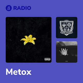 Metox Radio