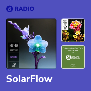 SolarFlow Radio