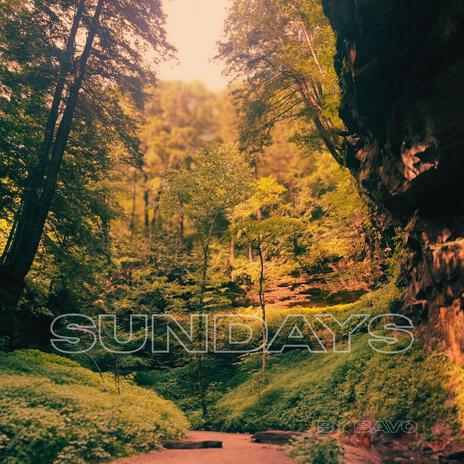 Sundays cover art