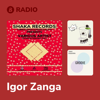 Igor Zanga Radio