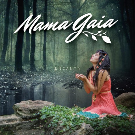 Desde las Montañas cover art