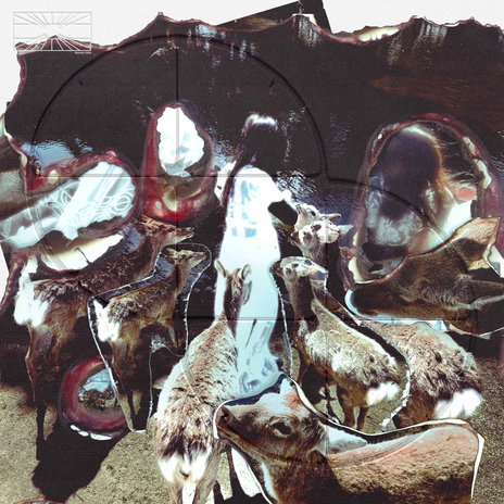 pulse cover art