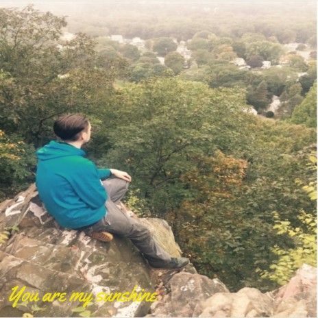 You Are My Sunshine cover art