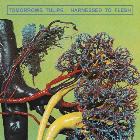 Turn It Down cover art