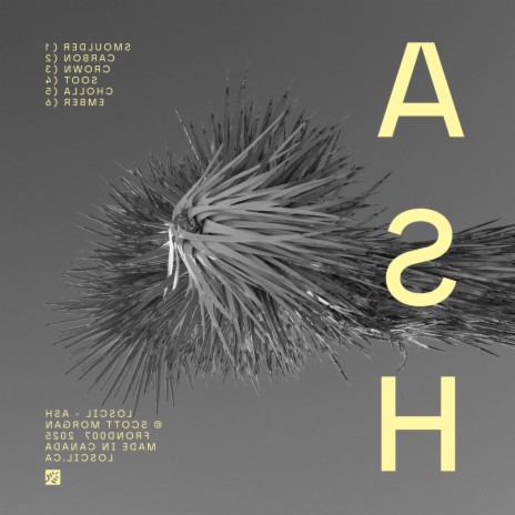 Carbon cover art