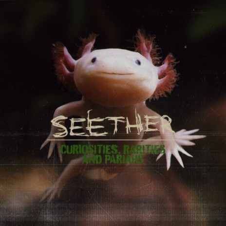Butterfly With Teeth (Demo Version)