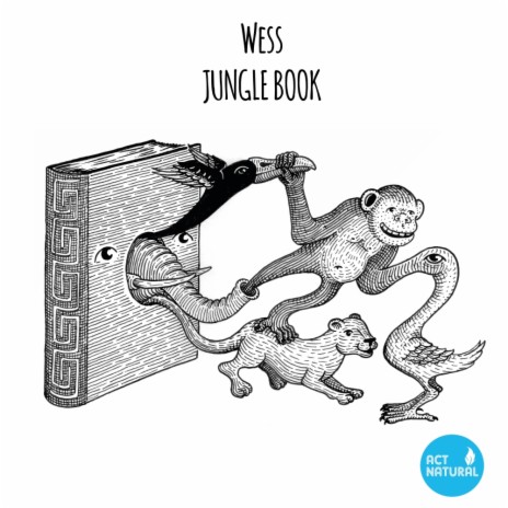 Jungle Book (Original Mix) cover art