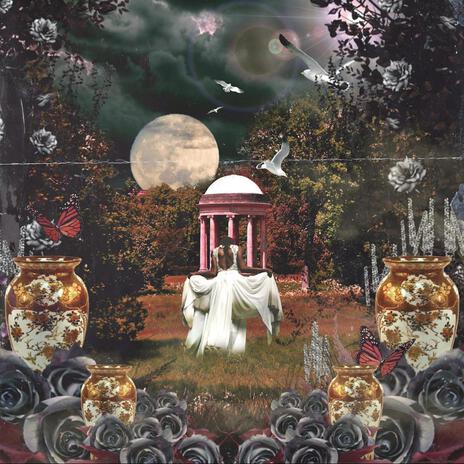 Black Rose cover art