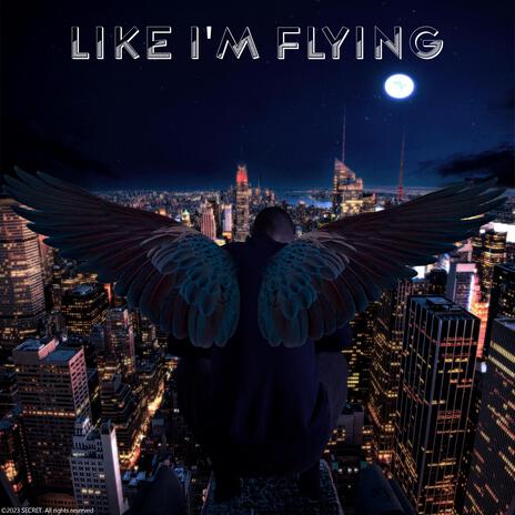 Like I'm Flying ft. Miss. Savage cover art