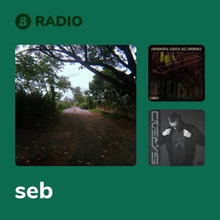 seb Radio