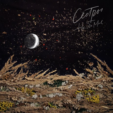 Звезда cover art