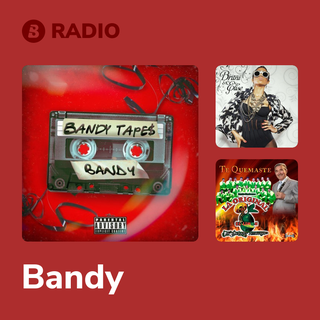 Bandy Radio