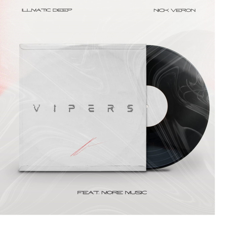 Vipers ft. Nick Veron & More Music cover art