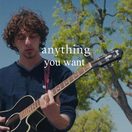 Anything You Want cover art