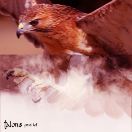 talons