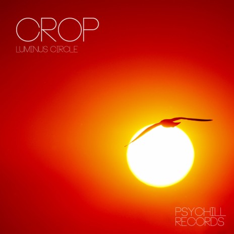 Morning Raindrops cover art