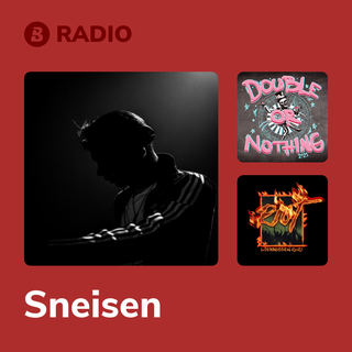 Sneisen Radio
