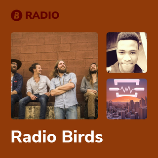 Radio Birds Radio