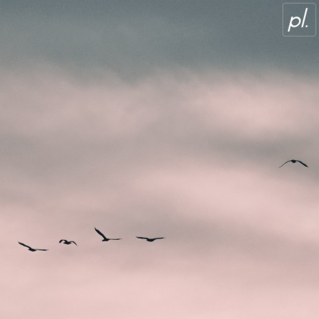 Flying a Kite cover art
