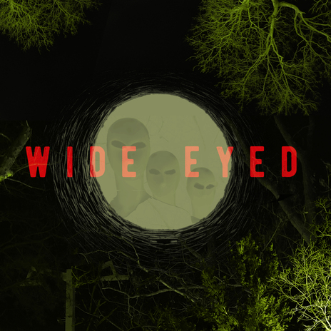 Wide Eyed At The Cobblestone (Smithfield Mix) cover art