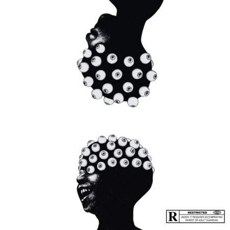VAR cover art