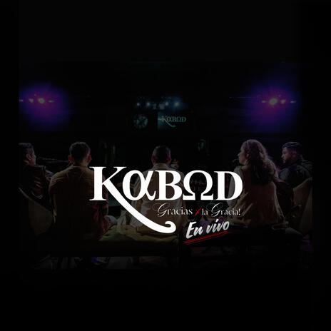 Fue Su Amor (En vivo) cover art