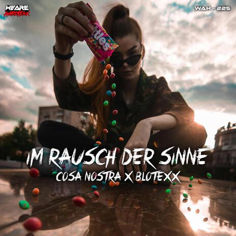 Im Rausch der Sinne ft. Blotexx cover art