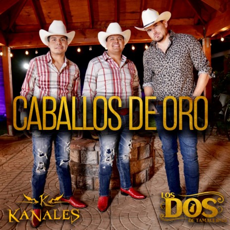 Caballos De Oro ft. LOS DOS DE TAMAULIPAS cover art