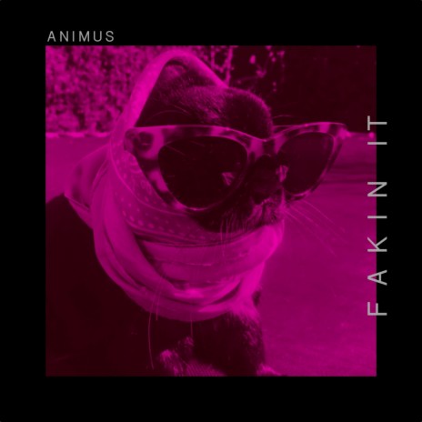 Fakin It cover art