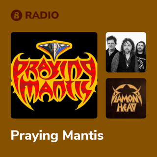 Praying Mantis Radio