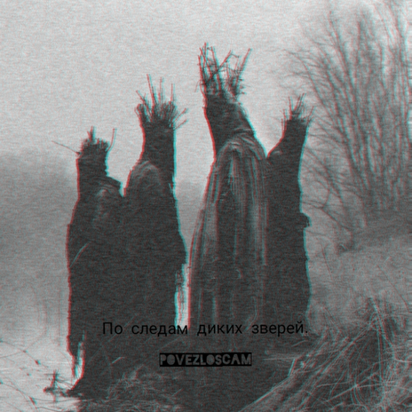 По следам диких зверей.