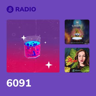 6091 Radio