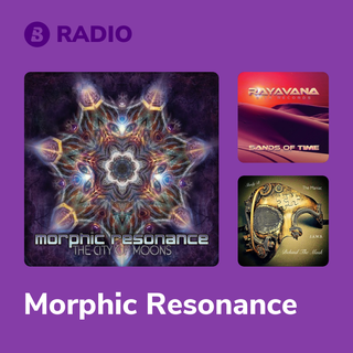 Morphic Resonance Radio