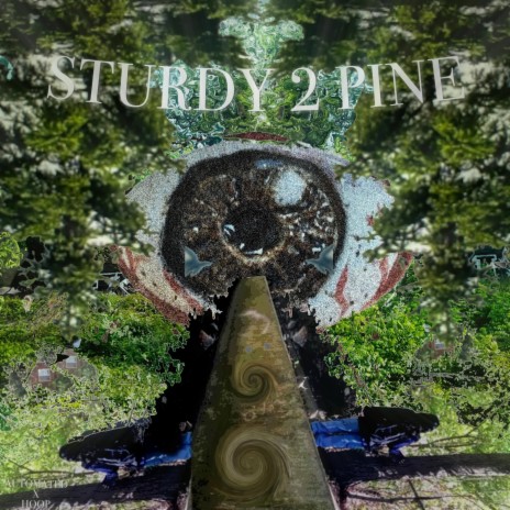 STURDY 2 PINE Instrumental