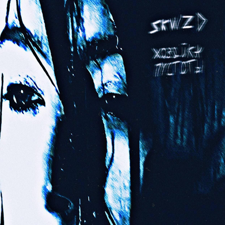 Хозяйка пустоты cover art