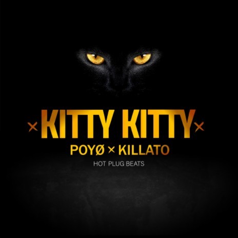 Kitty Kitty ft. Killato & Hot Plug Beats cover art