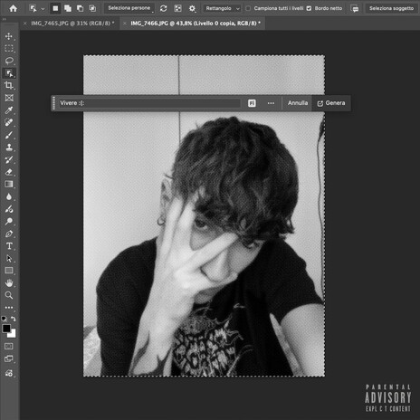 Vivere :( cover art