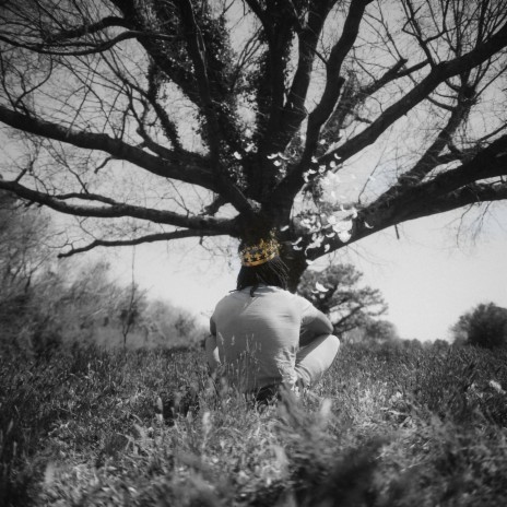 CareFree cover art