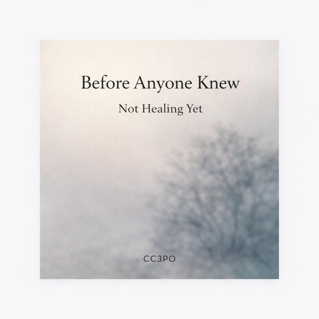 Before Anyone Knew cover art