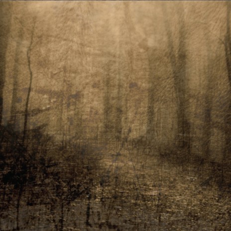 Of Embers cover art