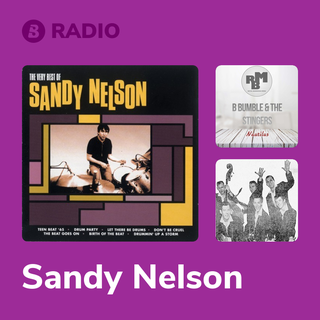 Sandy Nelson Radio