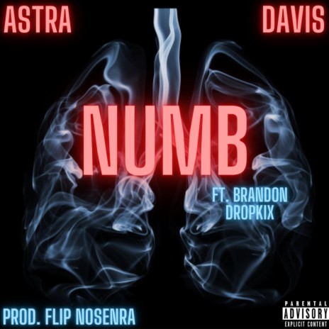 NUMB ft. Brandon Dropkix cover art